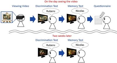 Active View and Passive View in Virtual Reality Have Different Impacts on Memory and Impression